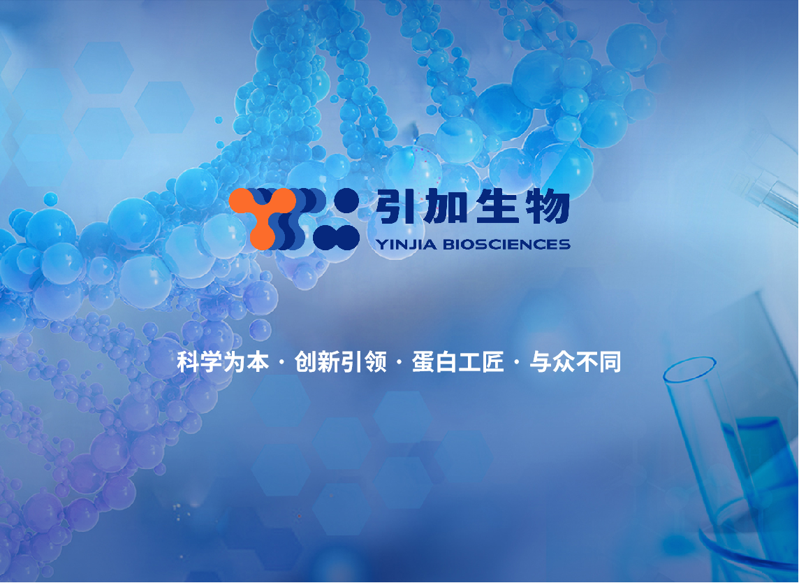 生物素（Biotin）快速偶聯試劑盒
