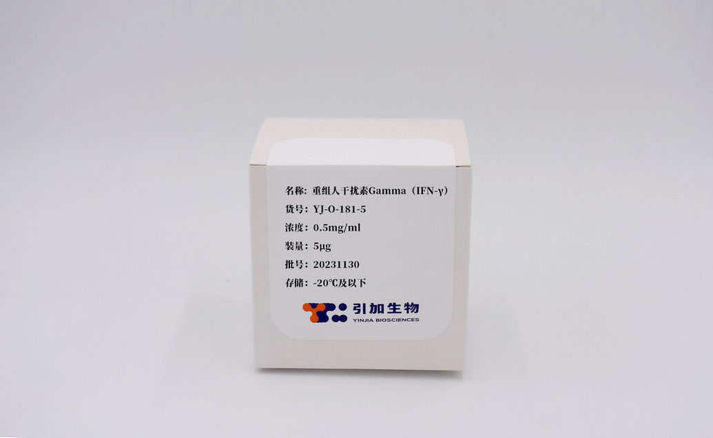 重組人干擾素Gamma（IFN-γ）