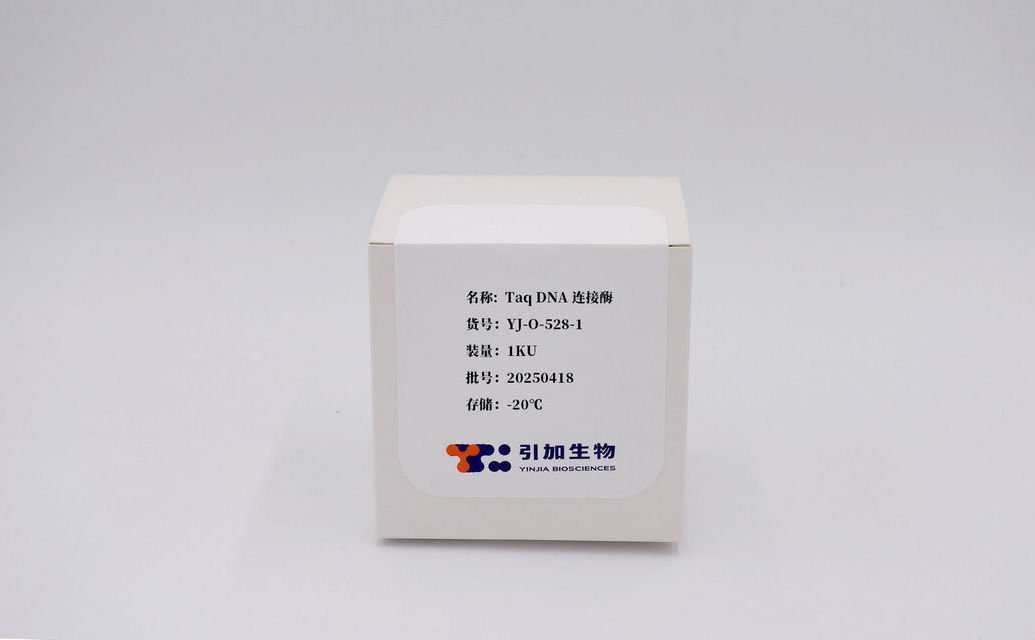 Taq DNA連接酶
